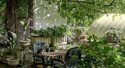 tuin Zwolle 038