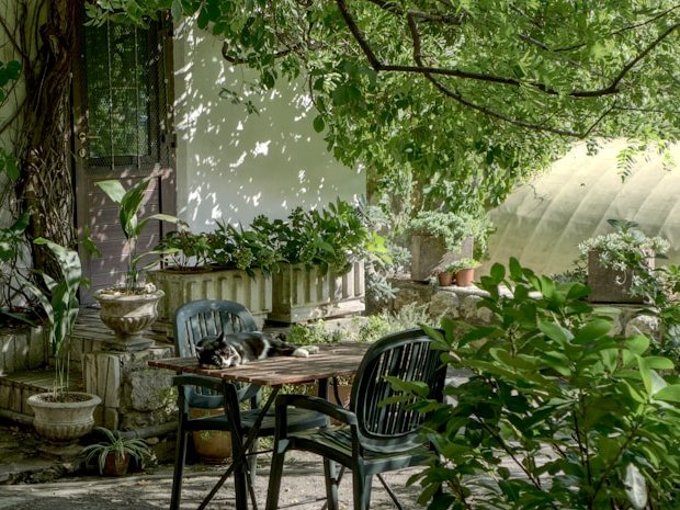 Hoe je tuin in Zwolle een groene oase wordt